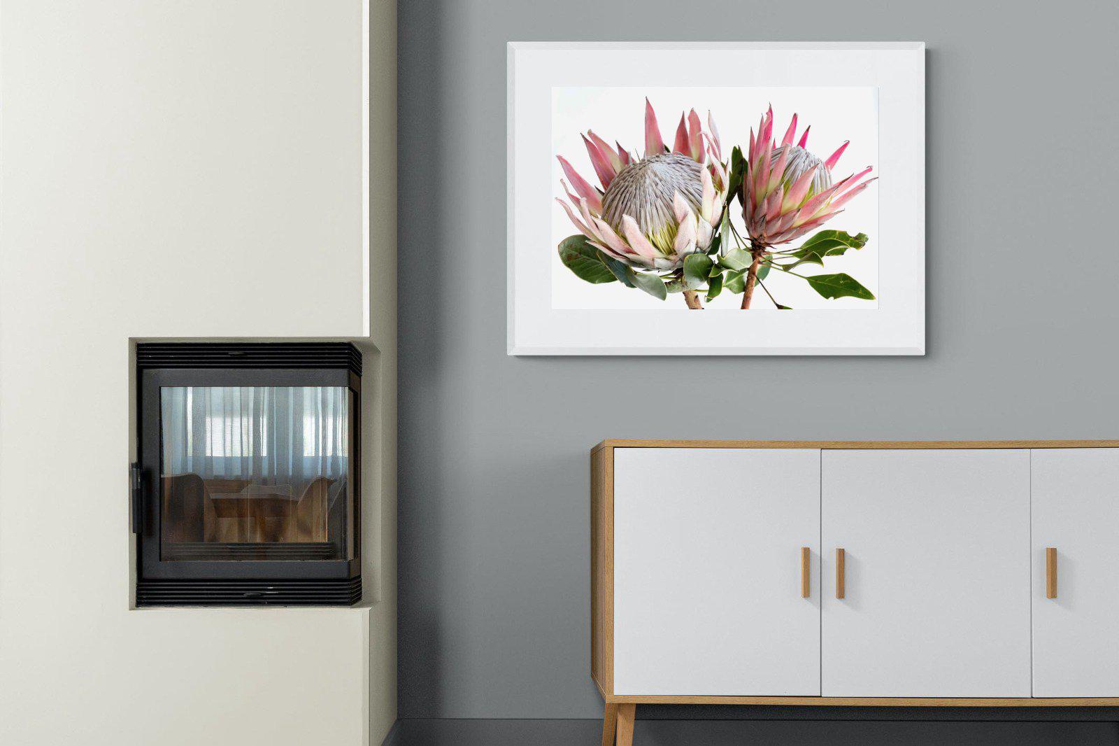 King Proteas-Wall_Art-100 x 75cm-Framed Print-White-Pixalot