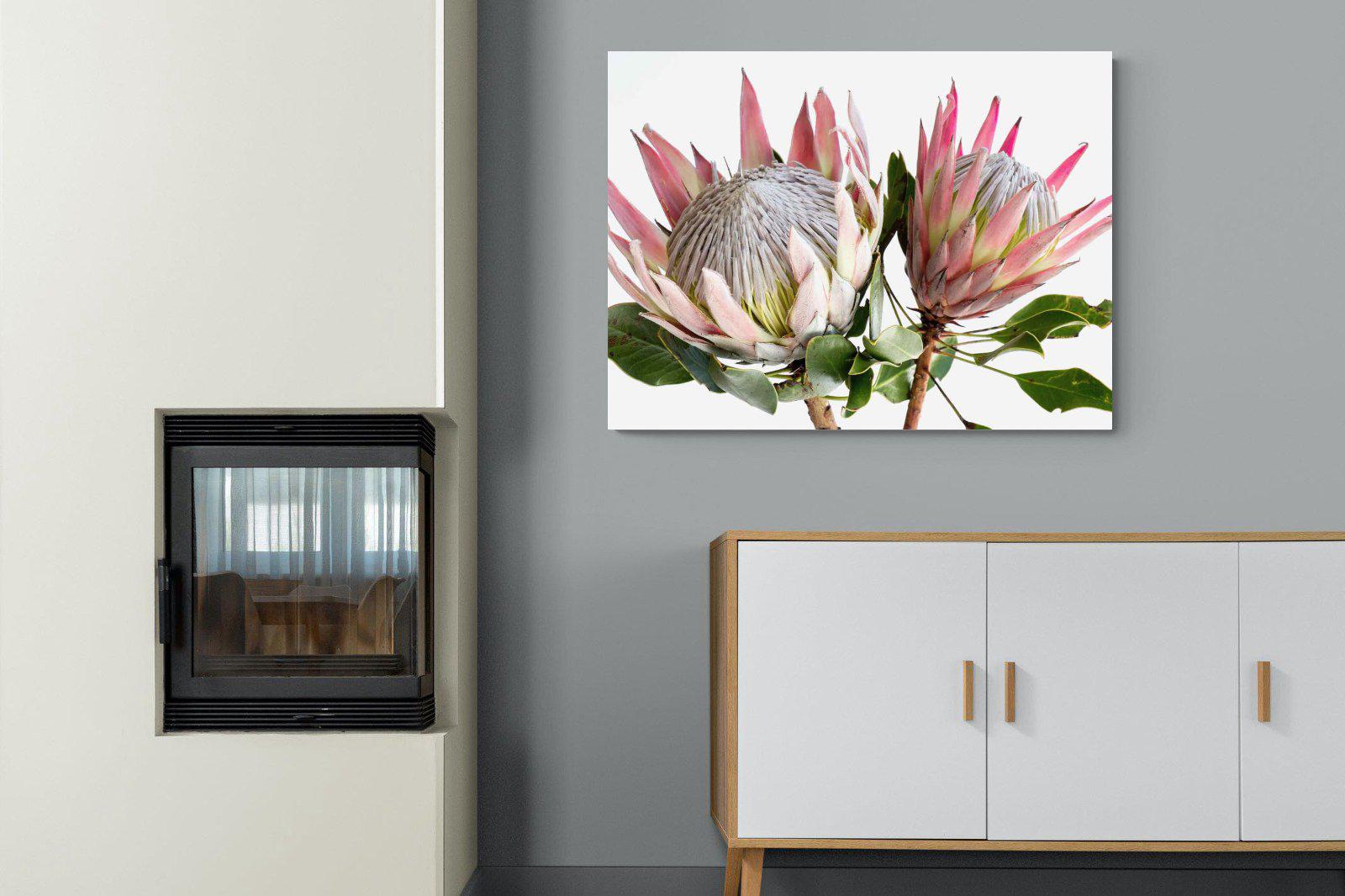King Proteas-Wall_Art-100 x 75cm-Mounted Canvas-No Frame-Pixalot