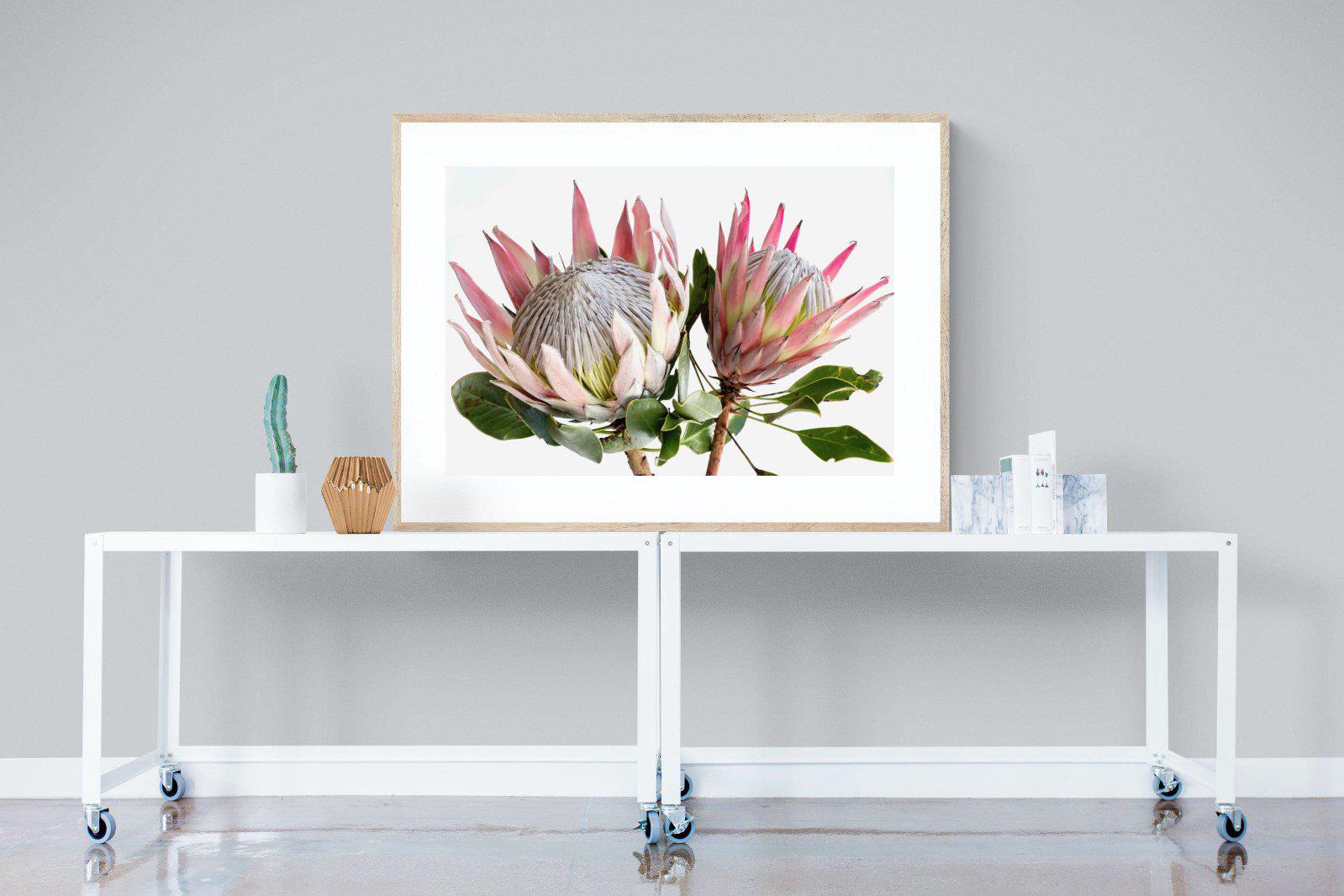 King Proteas-Wall_Art-120 x 90cm-Framed Print-Wood-Pixalot