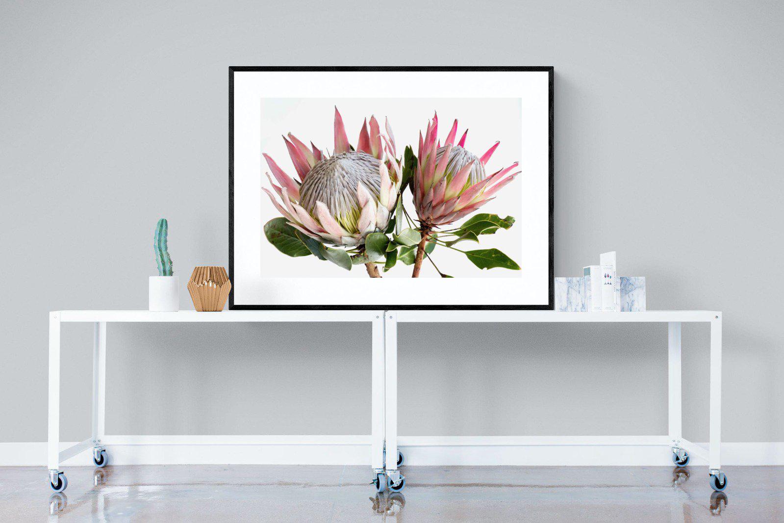 King Proteas-Wall_Art-120 x 90cm-Framed Print-Black-Pixalot
