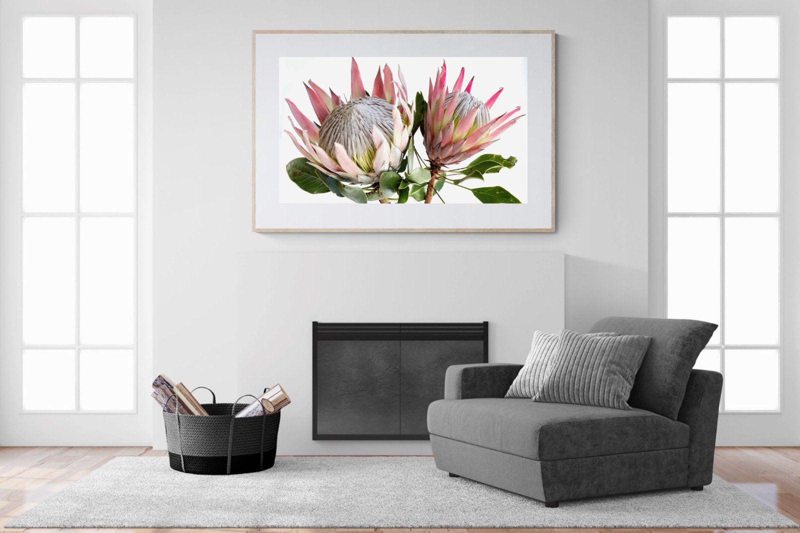 King Proteas-Wall_Art-150 x 100cm-Framed Print-Wood-Pixalot