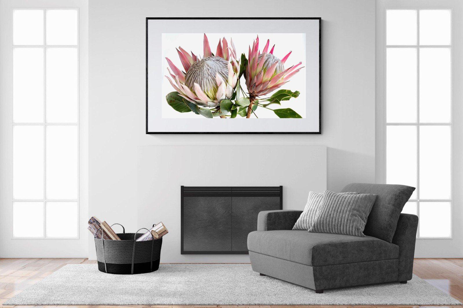 King Proteas-Wall_Art-150 x 100cm-Framed Print-Black-Pixalot