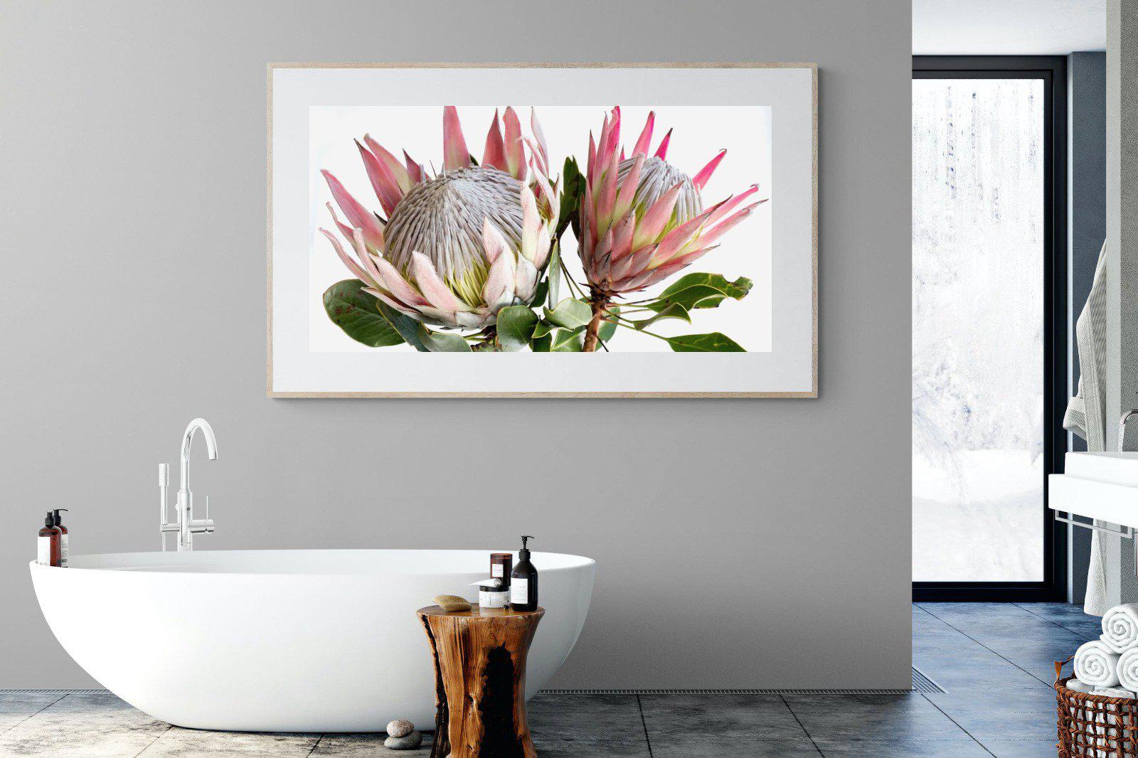 King Proteas-Wall_Art-180 x 110cm-Framed Print-Wood-Pixalot