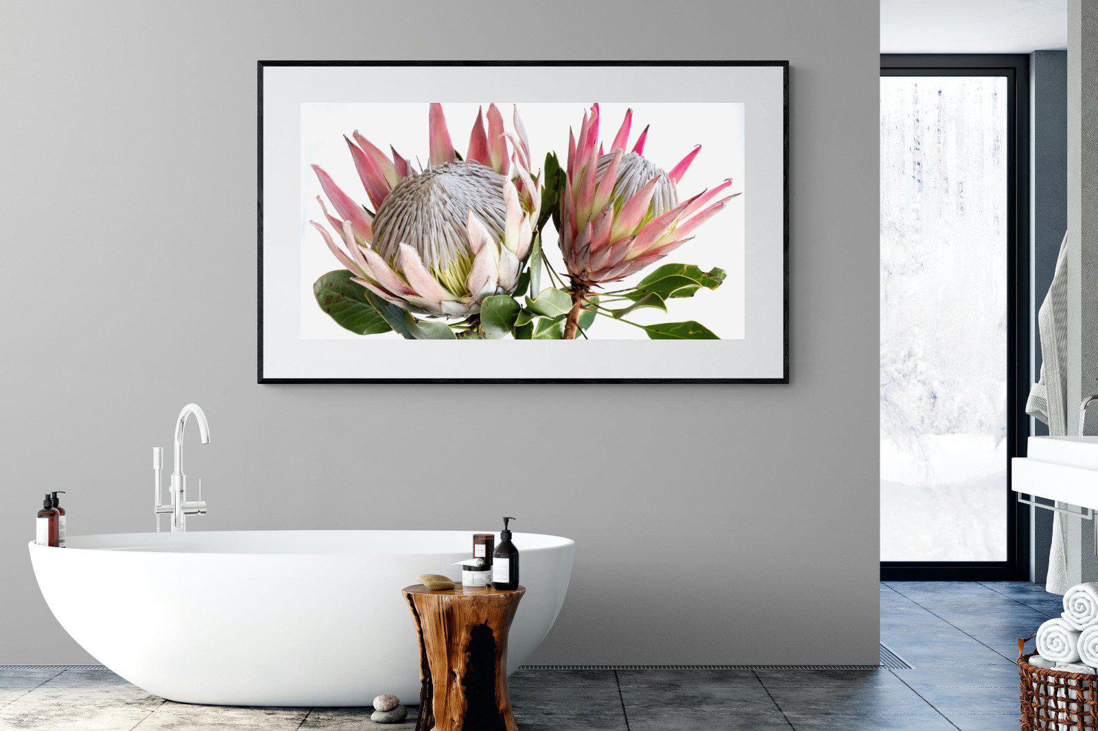 King Proteas-Wall_Art-180 x 110cm-Framed Print-Black-Pixalot