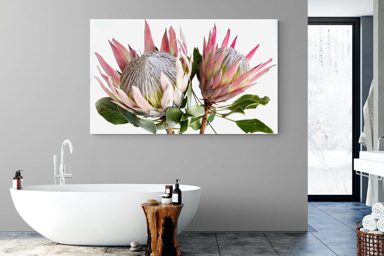 King Proteas-Wall_Art-Pixalot
