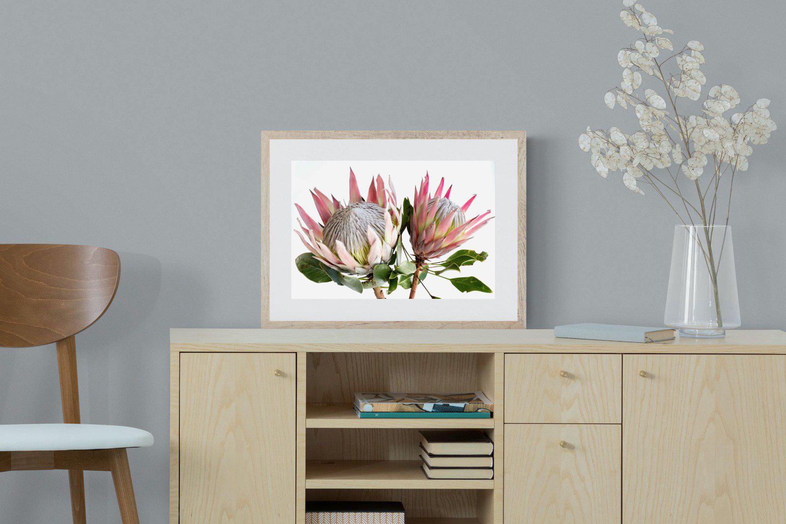 King Proteas-Wall_Art-60 x 45cm-Framed Print-Wood-Pixalot