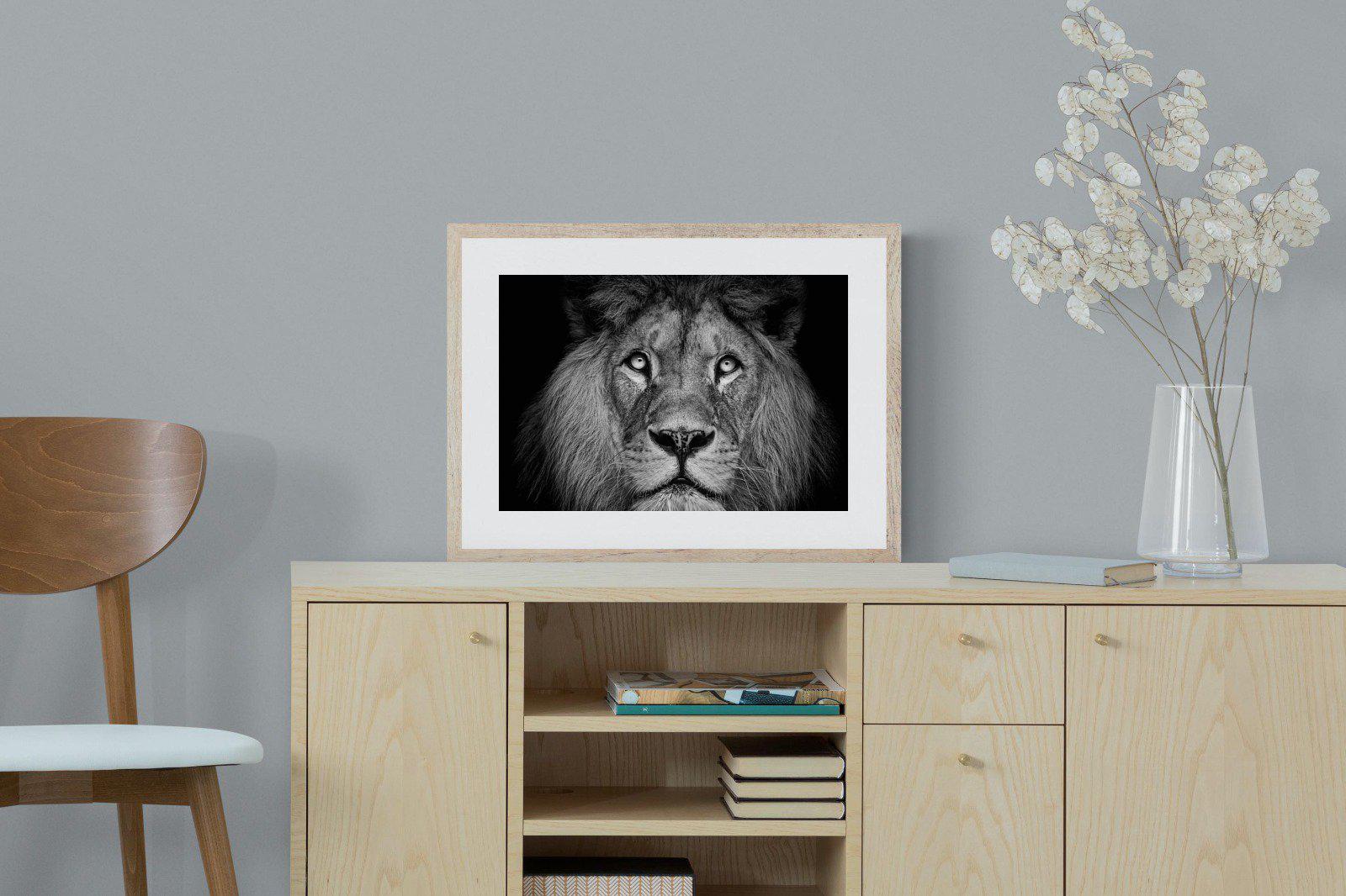 King of the Jungle-Wall_Art-60 x 45cm-Framed Print-Wood-Pixalot