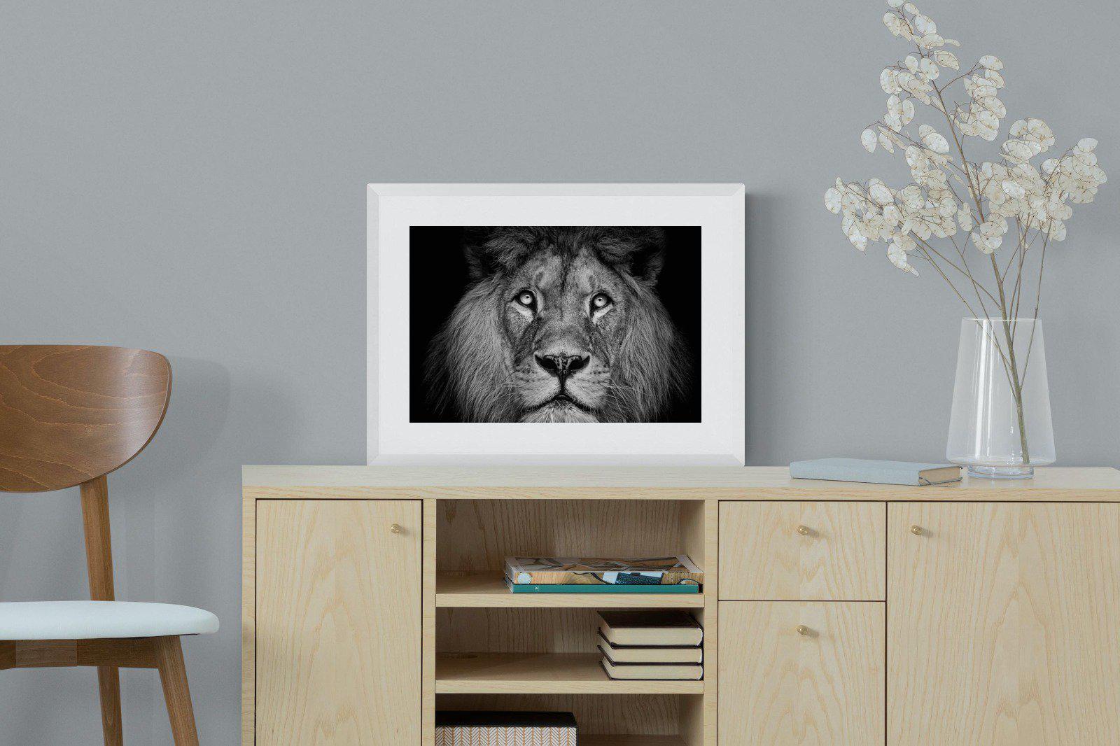 King of the Jungle-Wall_Art-60 x 45cm-Framed Print-White-Pixalot