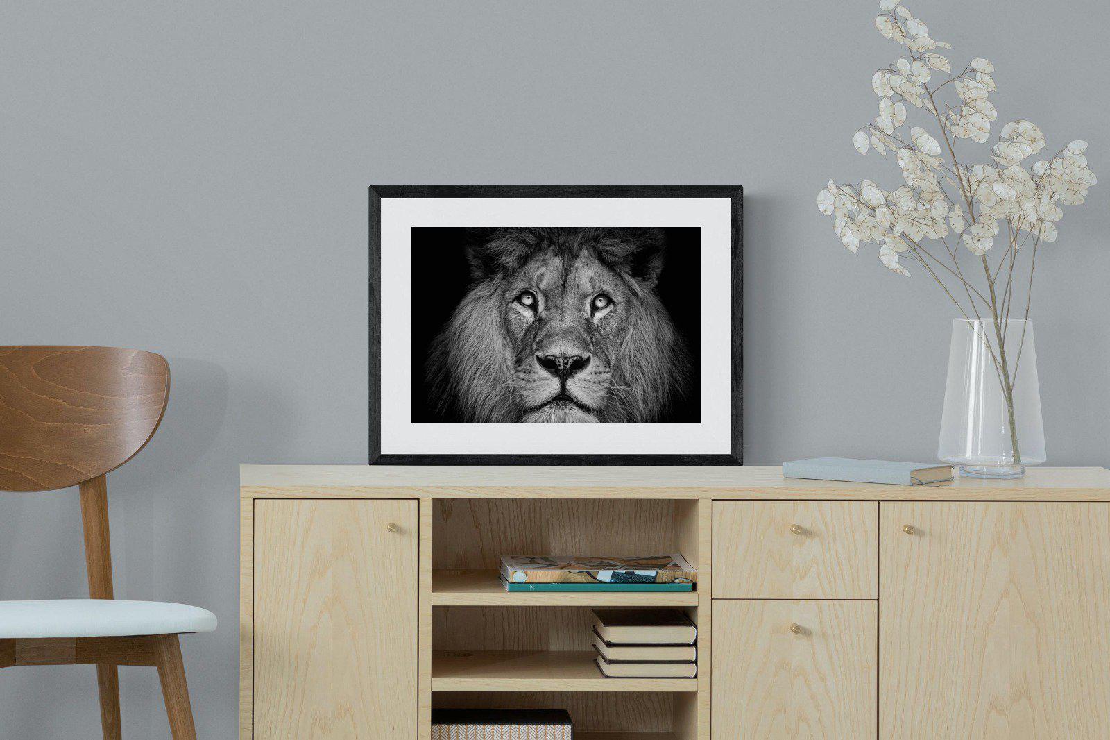 King of the Jungle-Wall_Art-60 x 45cm-Framed Print-Black-Pixalot