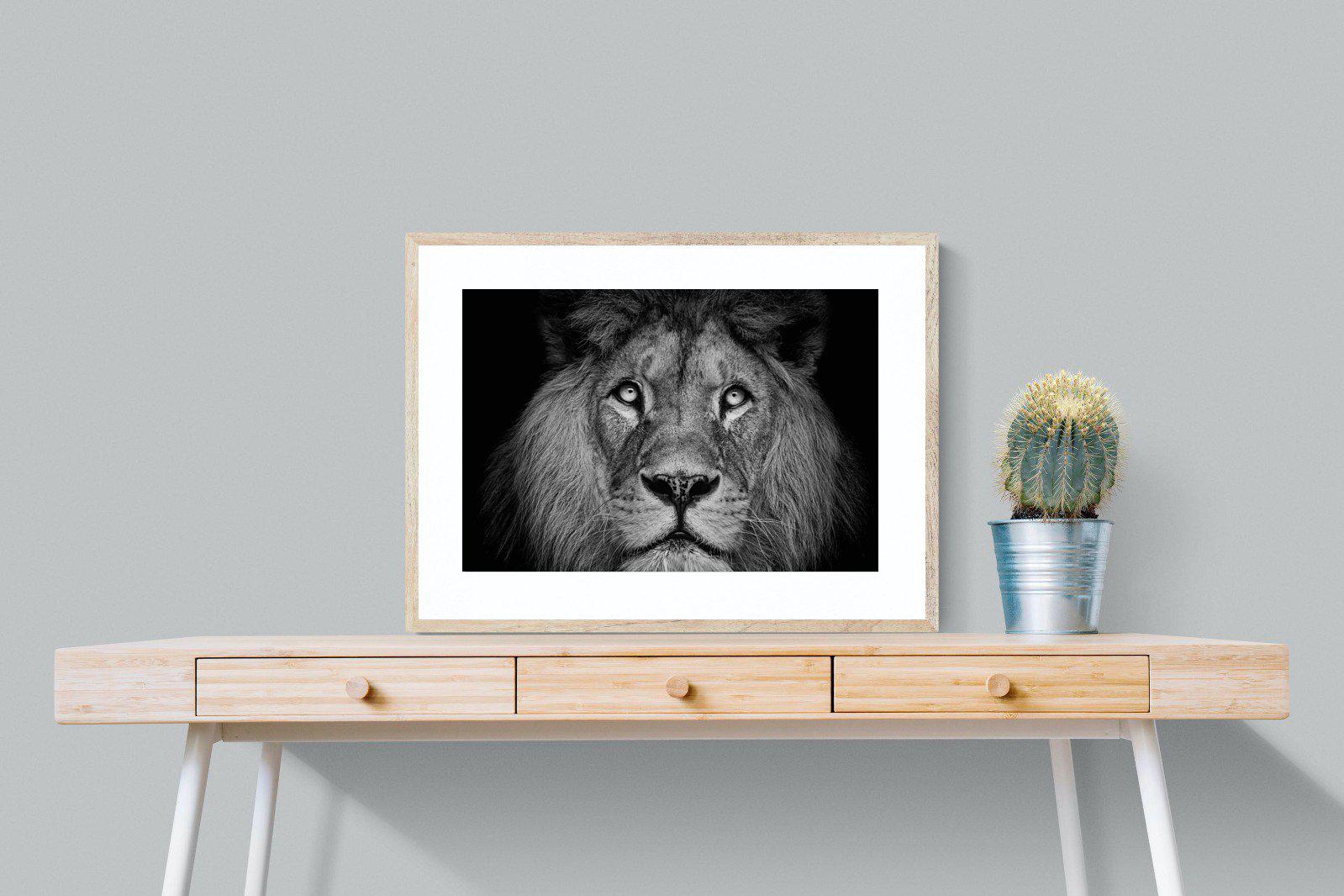 King of the Jungle-Wall_Art-80 x 60cm-Framed Print-Wood-Pixalot