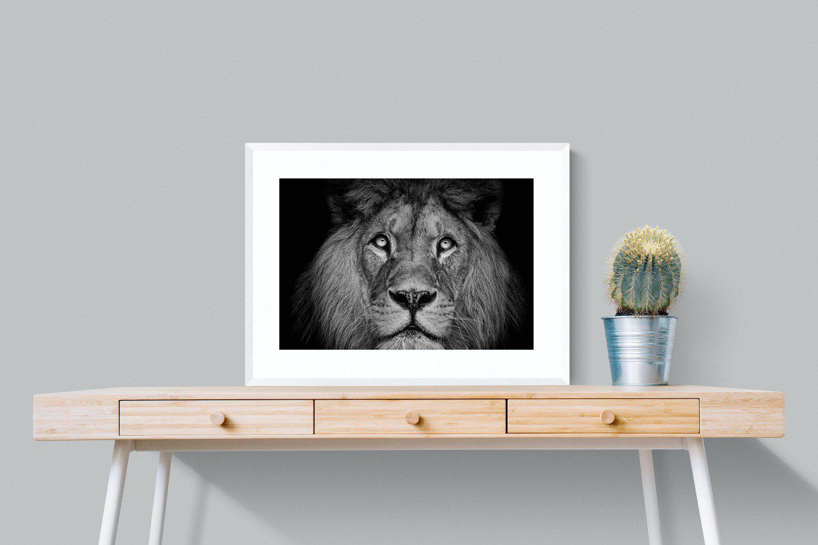King of the Jungle-Wall_Art-80 x 60cm-Framed Print-White-Pixalot