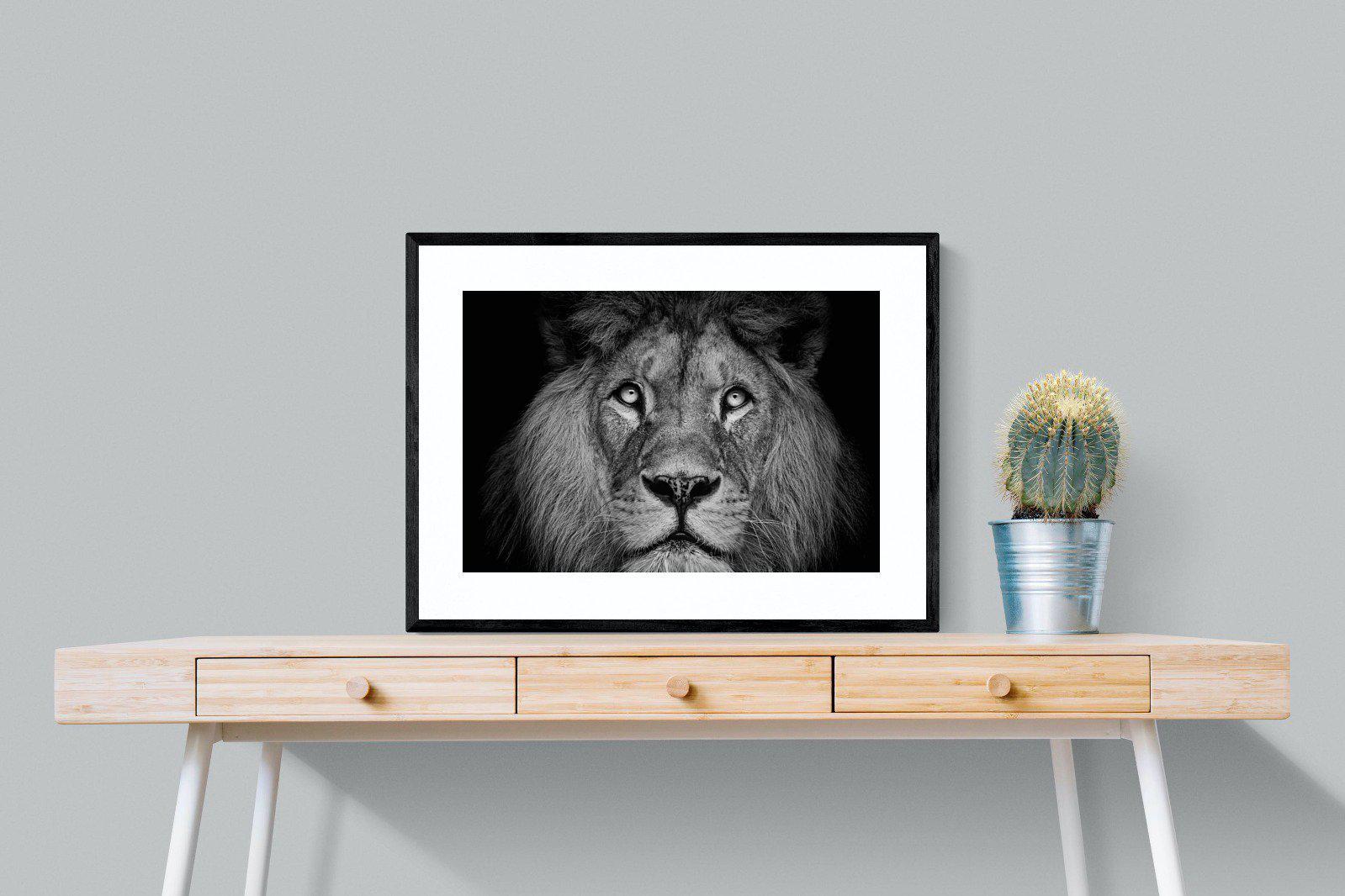 King of the Jungle-Wall_Art-80 x 60cm-Framed Print-Black-Pixalot
