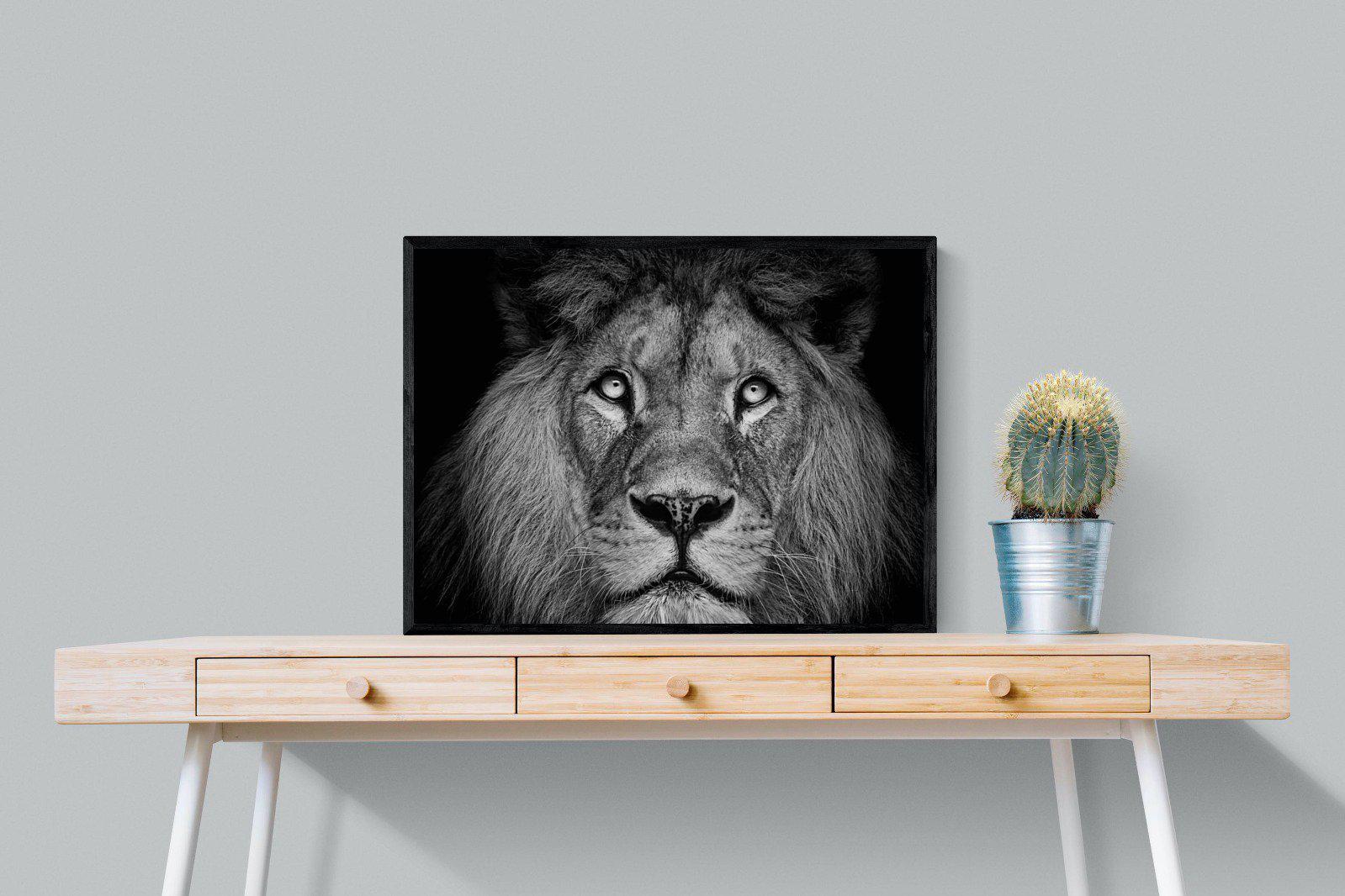 King of the Jungle-Wall_Art-80 x 60cm-Mounted Canvas-Black-Pixalot