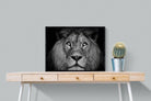 King of the Jungle-Wall_Art-80 x 60cm-Mounted Canvas-Black-Pixalot