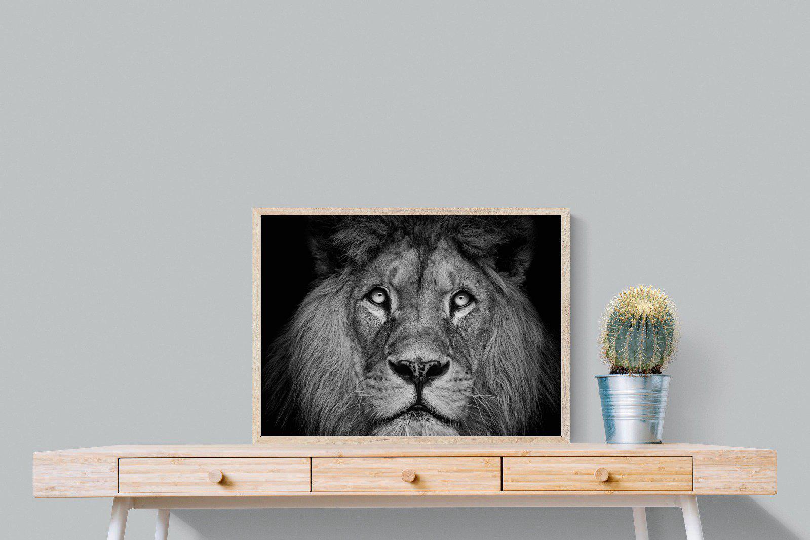 King of the Jungle-Wall_Art-80 x 60cm-Mounted Canvas-Wood-Pixalot