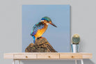 Kingfisher-Wall_Art-100 x 100cm-Mounted Canvas-No Frame-Pixalot