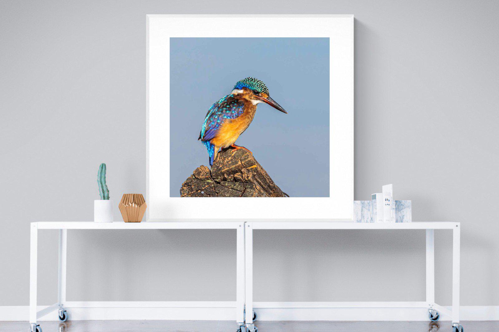 Kingfisher-Wall_Art-120 x 120cm-Framed Print-White-Pixalot