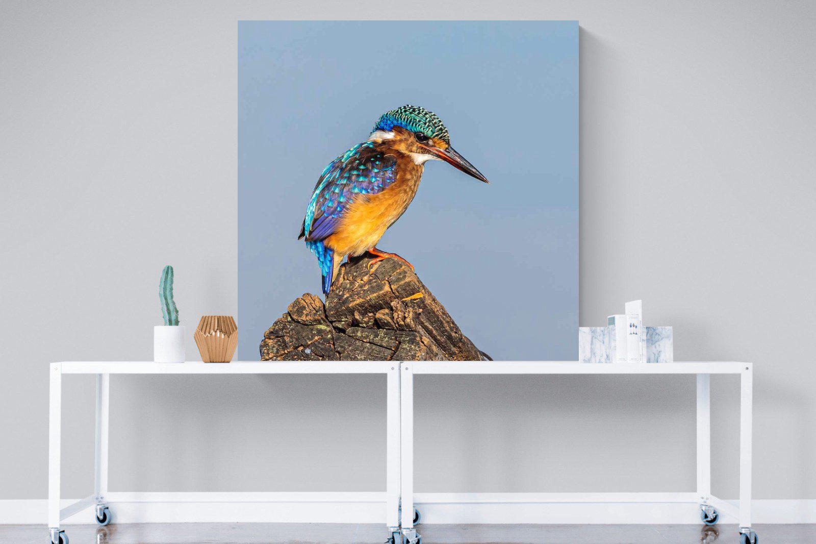 Kingfisher-Wall_Art-120 x 120cm-Mounted Canvas-No Frame-Pixalot