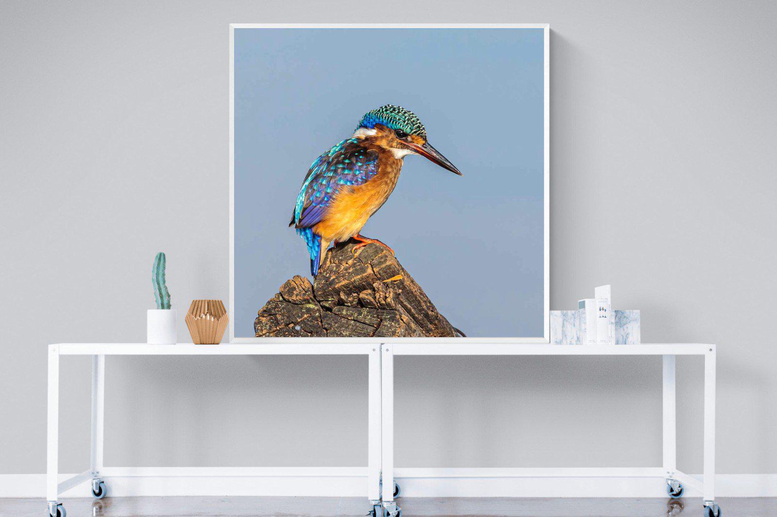 Kingfisher-Wall_Art-120 x 120cm-Mounted Canvas-White-Pixalot