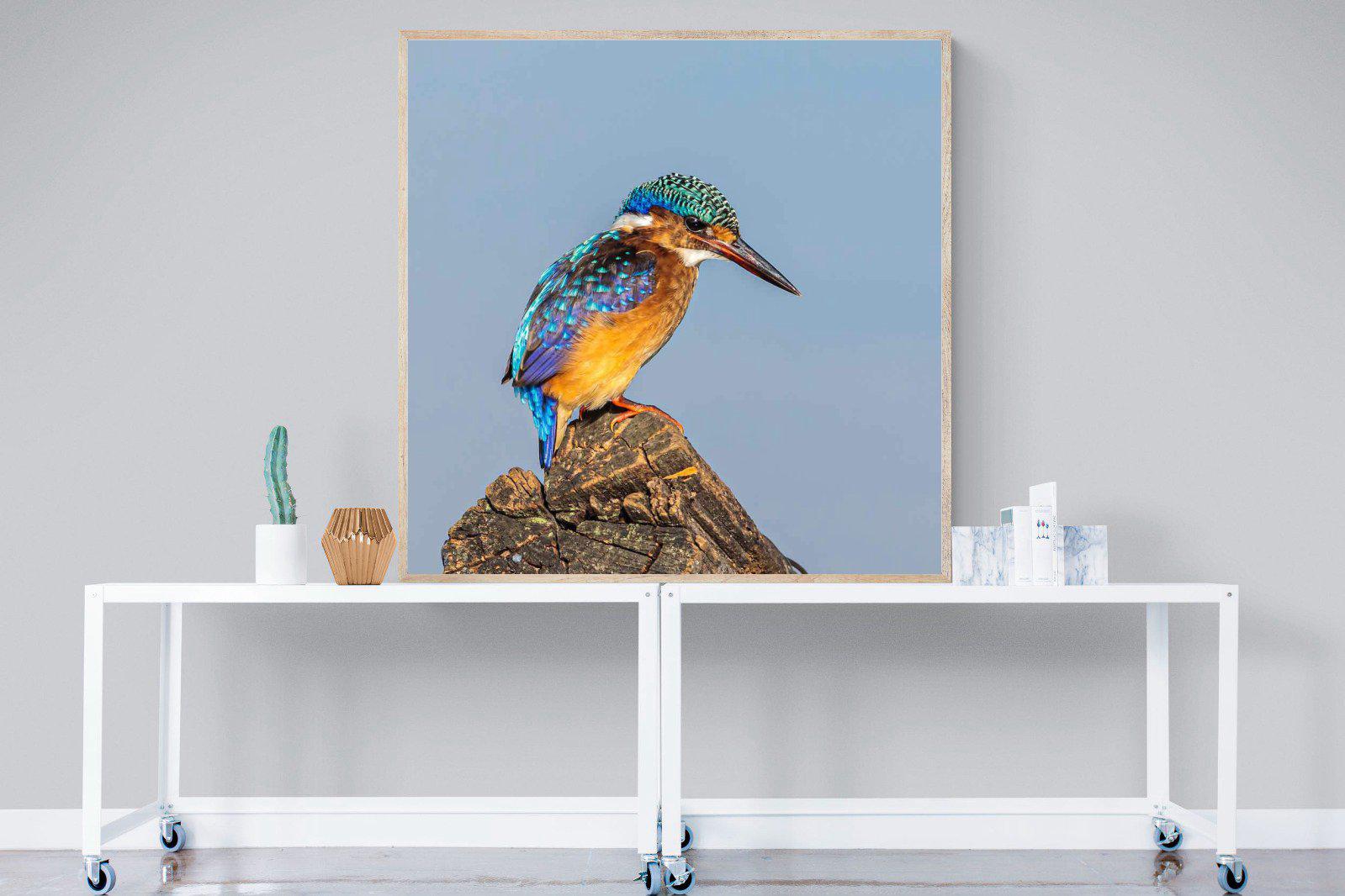 Kingfisher-Wall_Art-120 x 120cm-Mounted Canvas-Wood-Pixalot