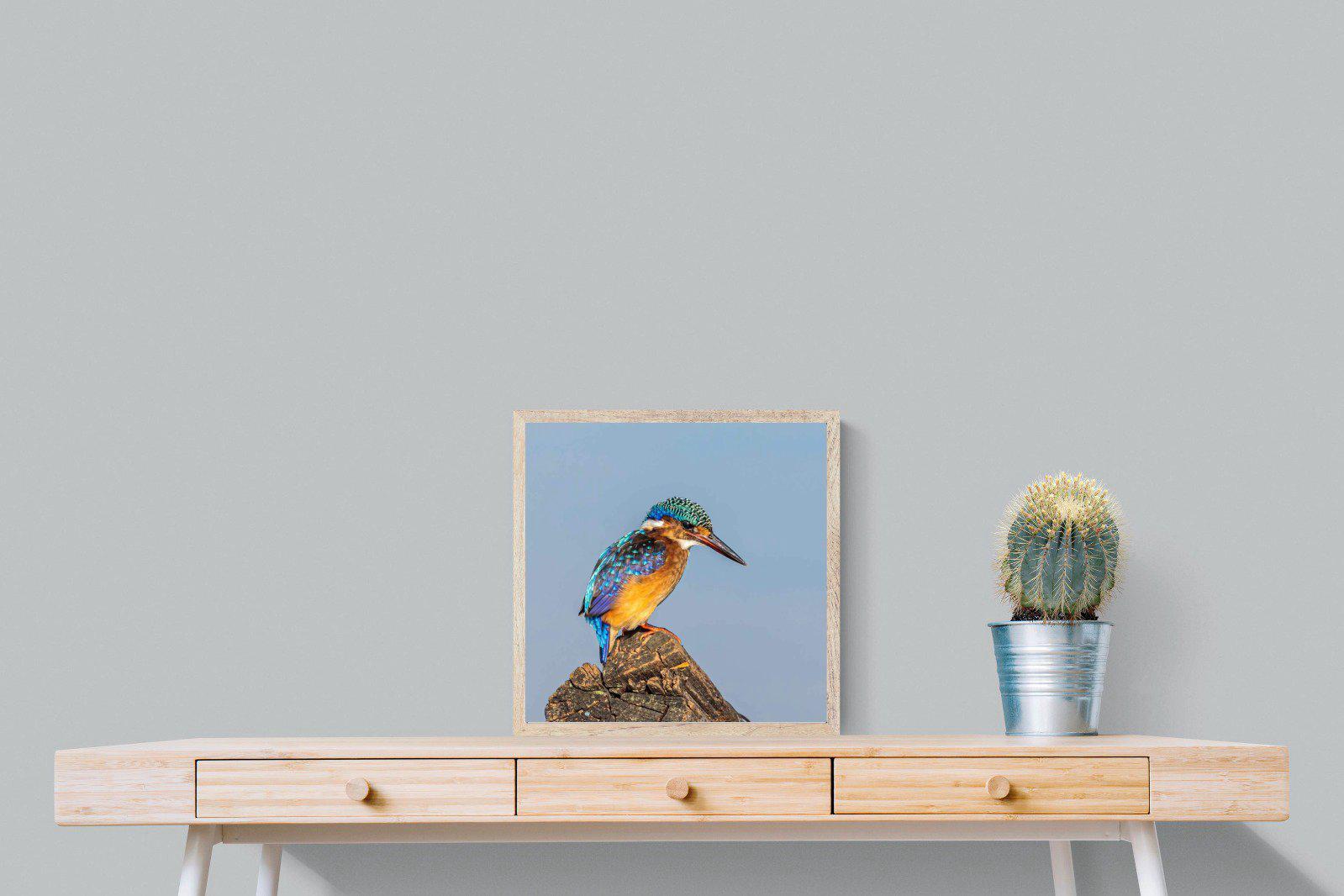 Kingfisher-Wall_Art-50 x 50cm-Mounted Canvas-Wood-Pixalot