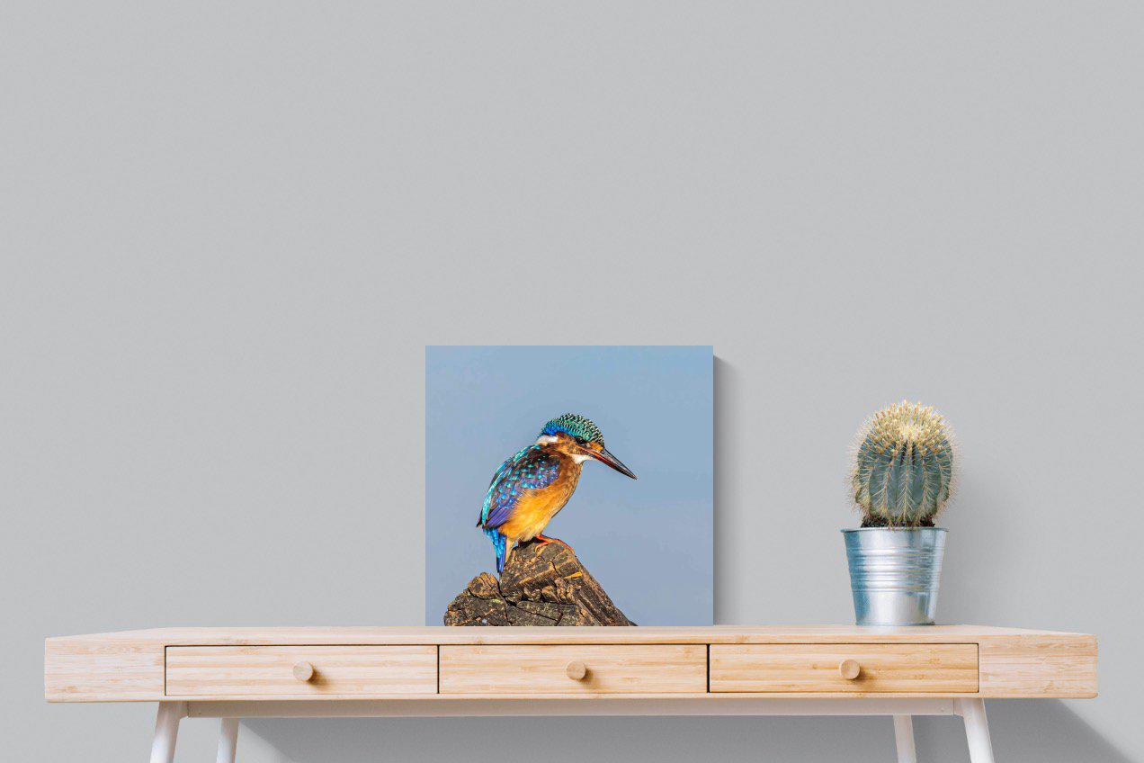 Kingfisher-Wall_Art-50 x 50cm-Mounted Canvas-No Frame-Pixalot