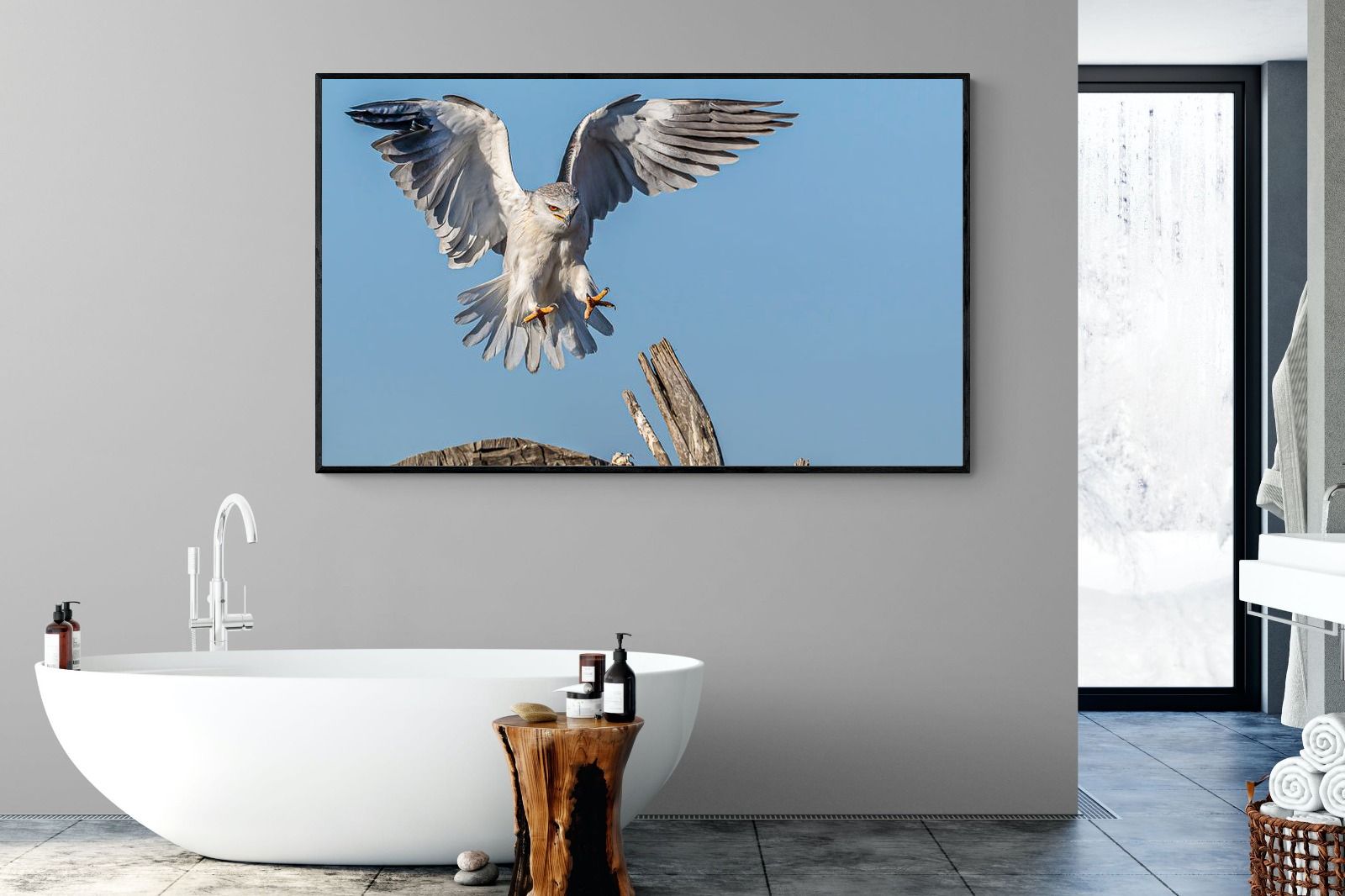 Kite-Wall_Art-180 x 110cm-Mounted Canvas-Black-Pixalot