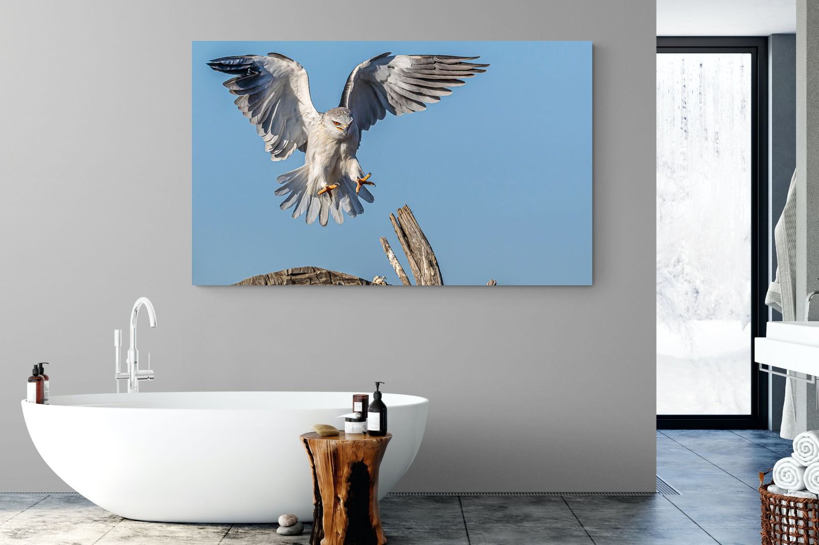 Kite-Wall_Art-180 x 110cm-Mounted Canvas-No Frame-Pixalot