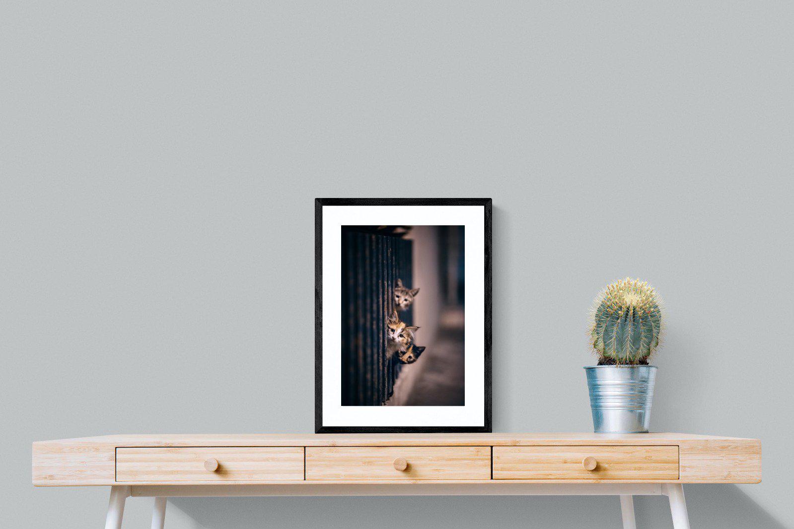 Kitten Call-Wall_Art-45 x 60cm-Framed Print-Black-Pixalot