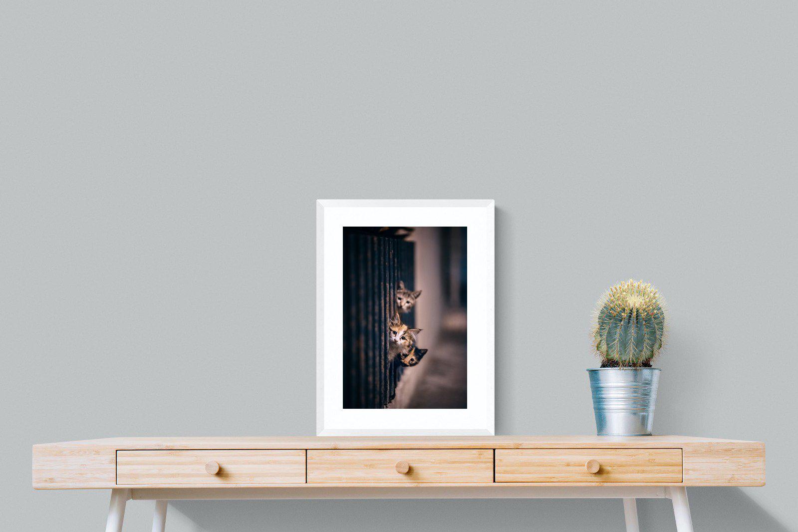 Kitten Call-Wall_Art-45 x 60cm-Framed Print-White-Pixalot