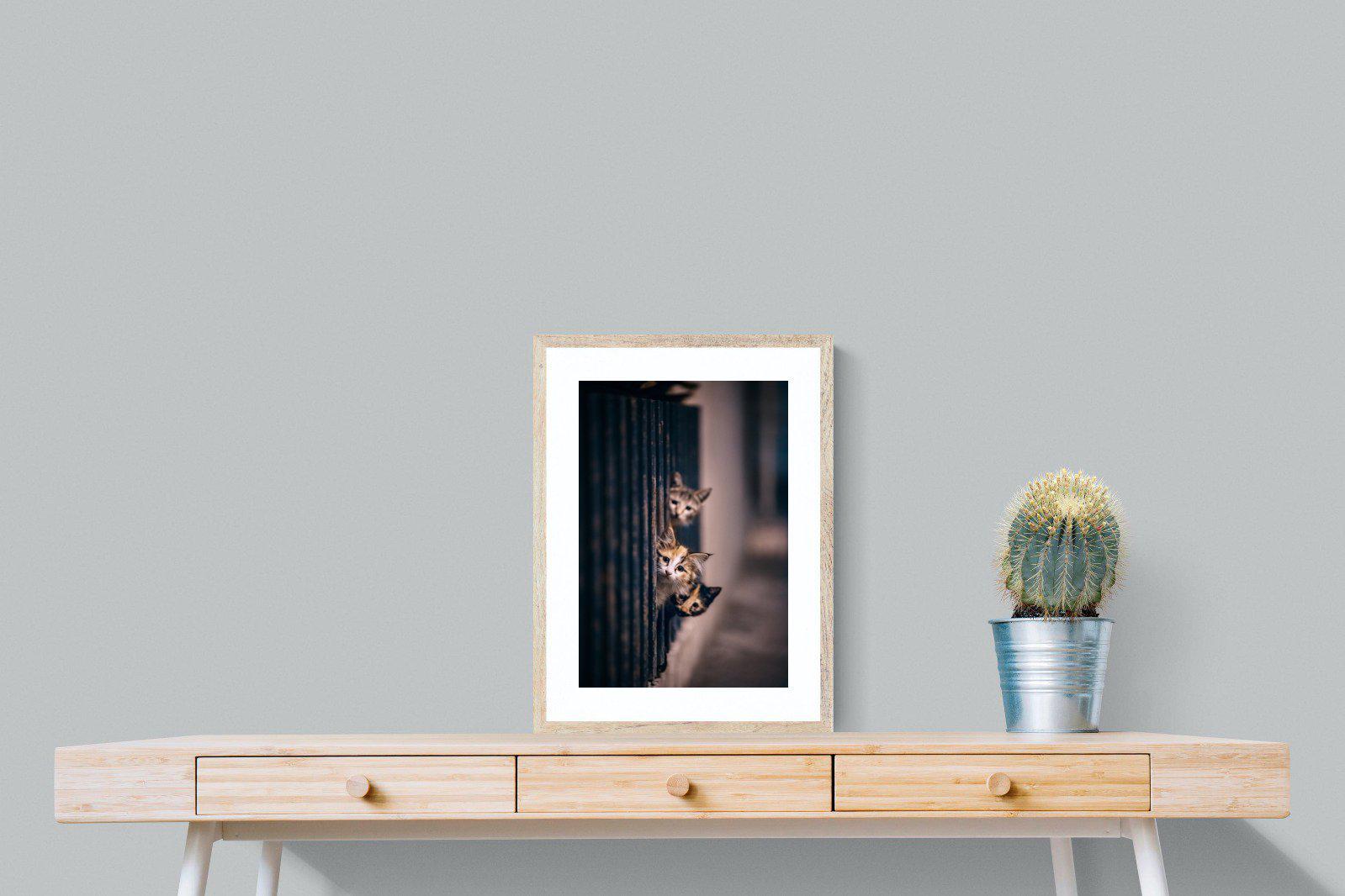 Kitten Call-Wall_Art-45 x 60cm-Framed Print-Wood-Pixalot
