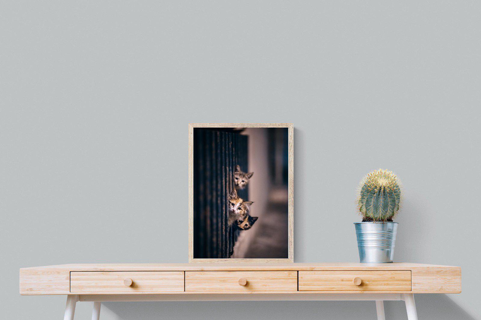 Kitten Call-Wall_Art-45 x 60cm-Mounted Canvas-Wood-Pixalot