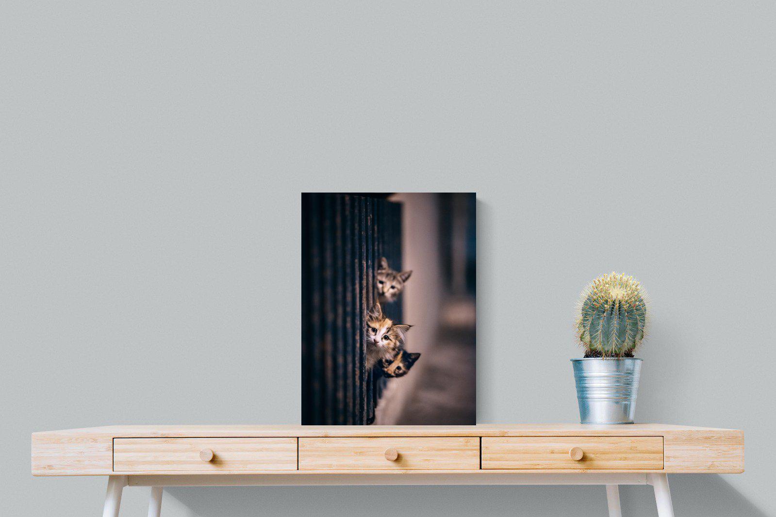 Kitten Call-Wall_Art-45 x 60cm-Mounted Canvas-No Frame-Pixalot
