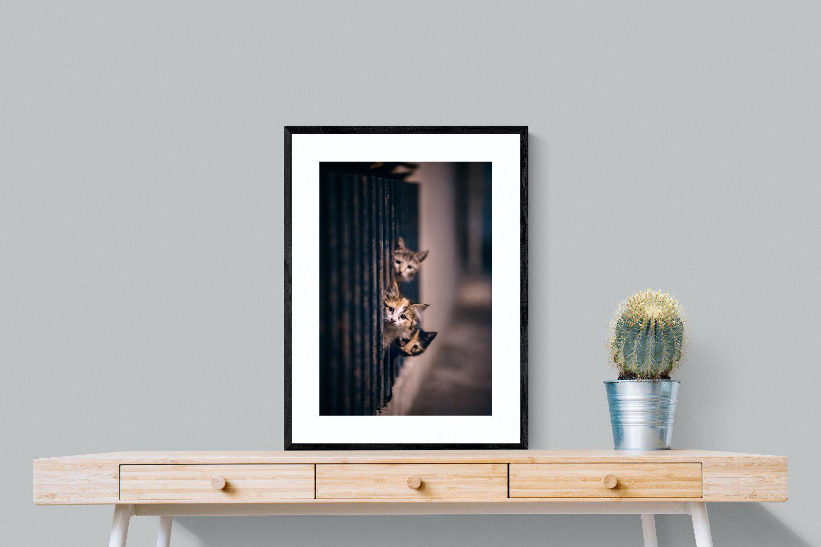 Kitten Call-Wall_Art-60 x 80cm-Framed Print-Black-Pixalot