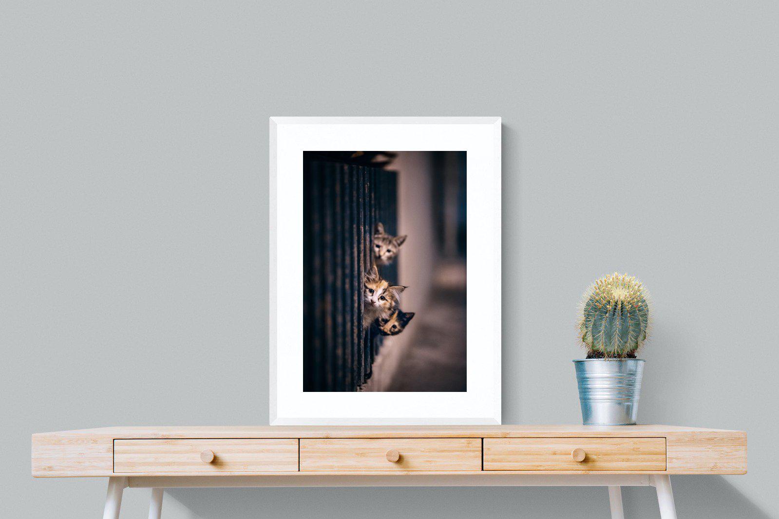 Kitten Call-Wall_Art-60 x 80cm-Framed Print-White-Pixalot