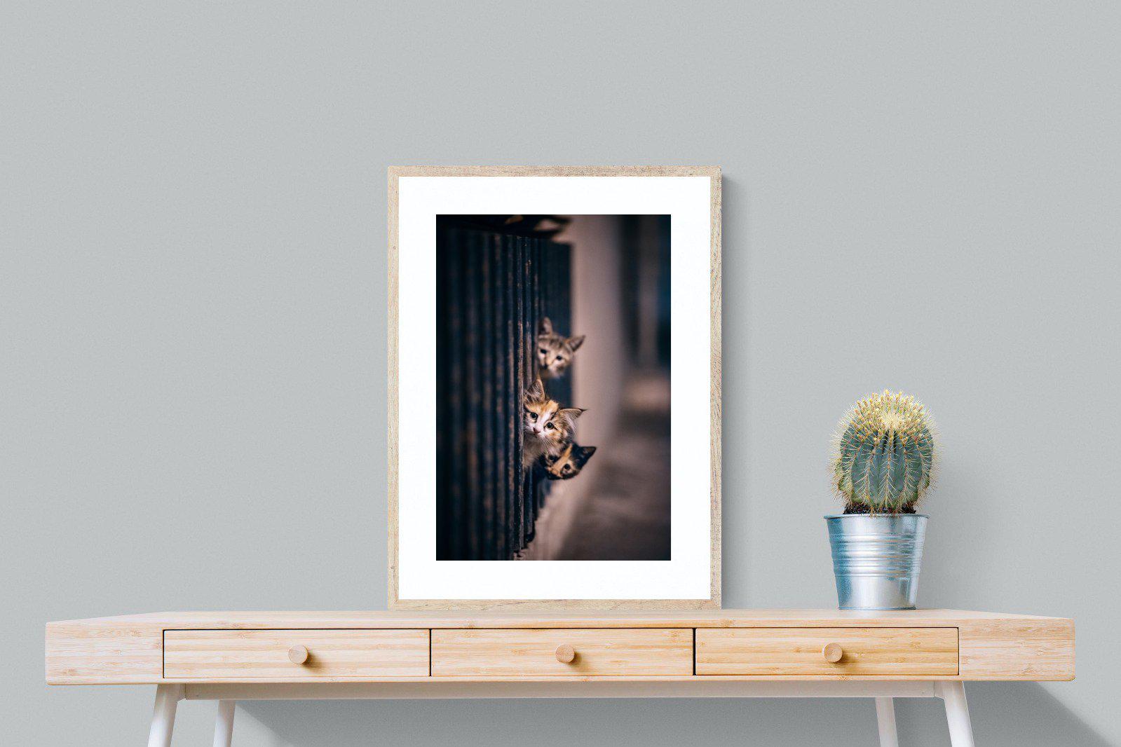 Kitten Call-Wall_Art-60 x 80cm-Framed Print-Wood-Pixalot