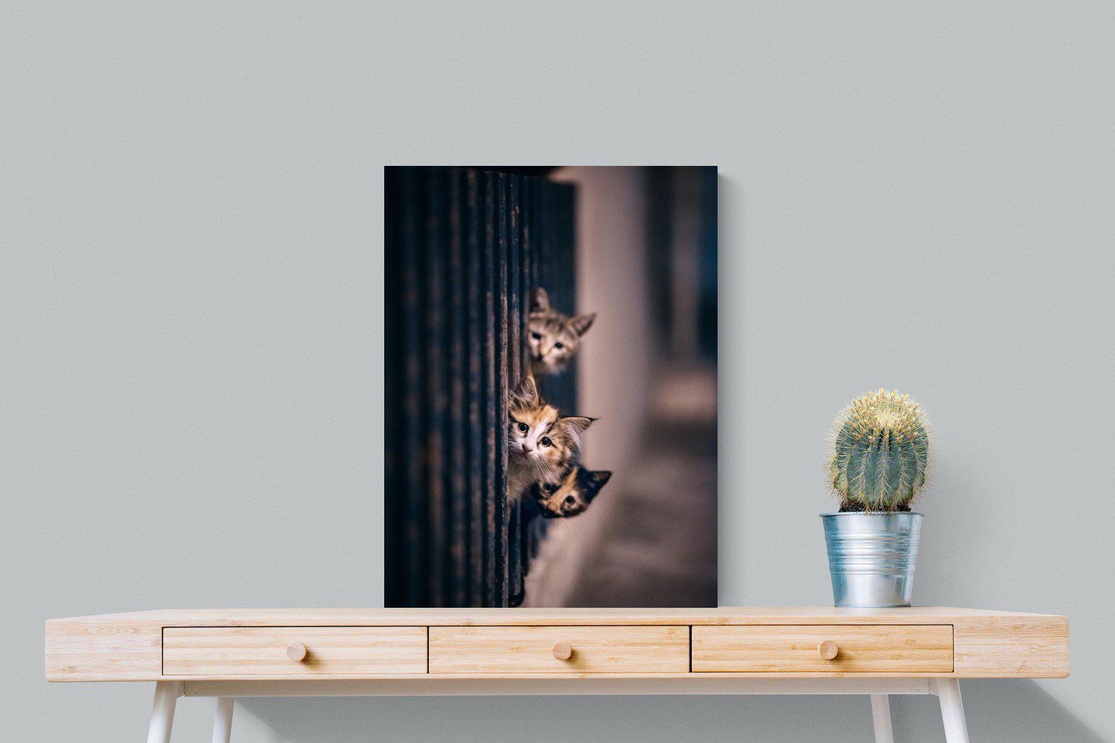 Kitten Call-Wall_Art-60 x 80cm-Mounted Canvas-No Frame-Pixalot