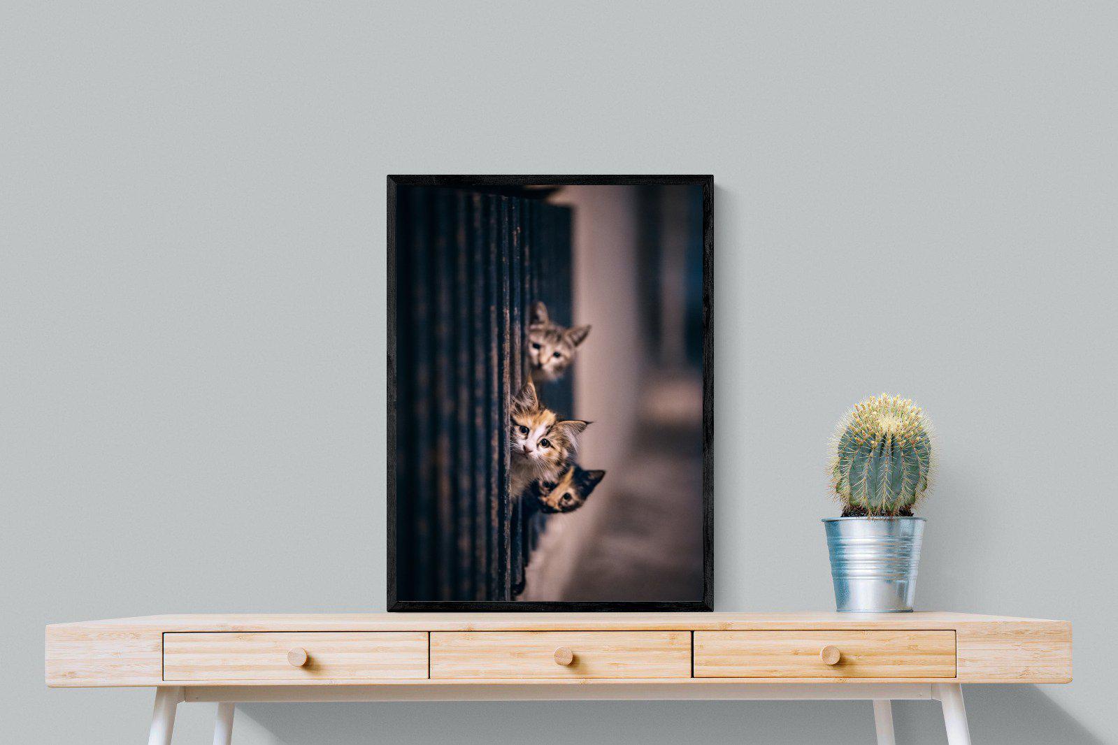 Kitten Call-Wall_Art-60 x 80cm-Mounted Canvas-Black-Pixalot