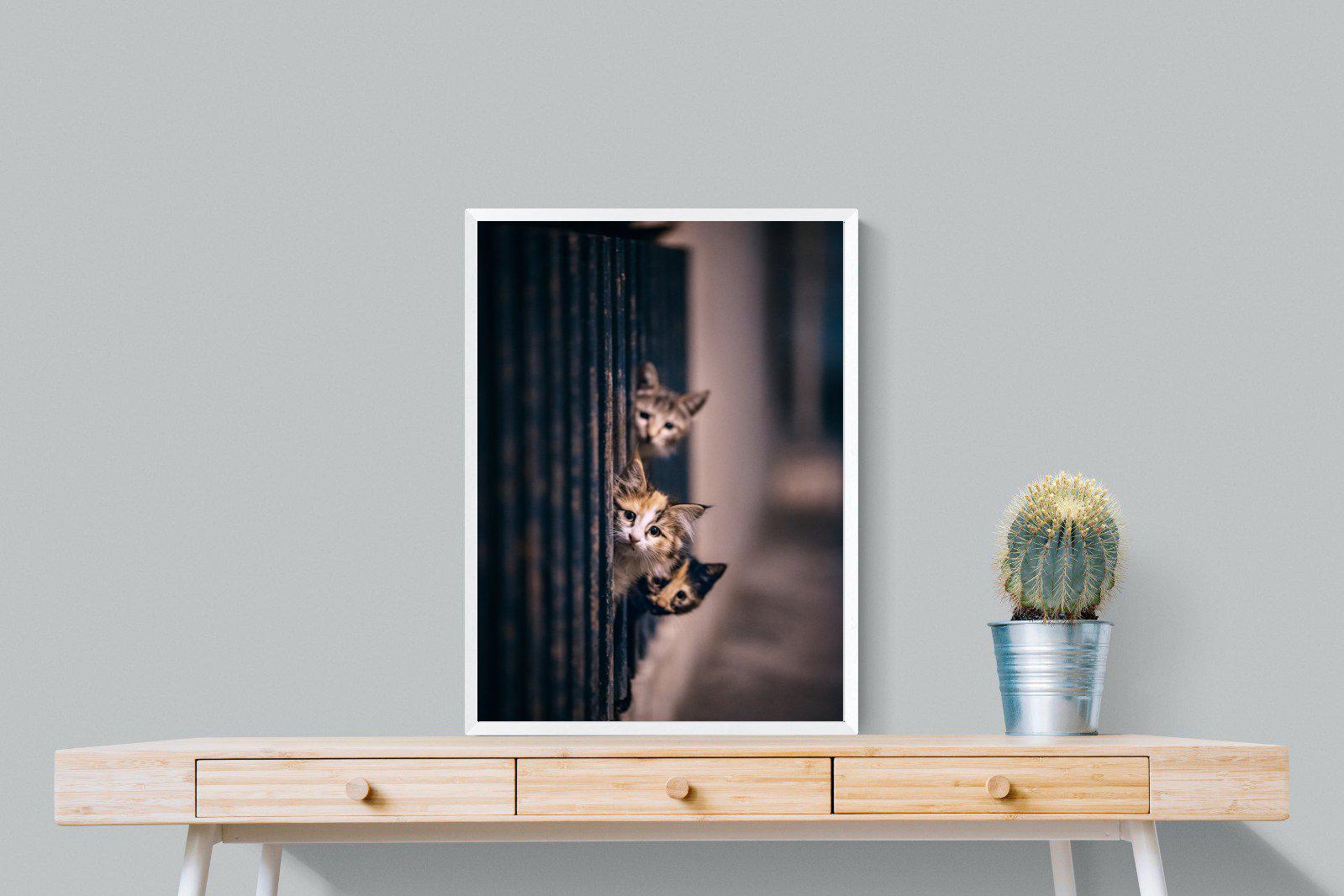 Kitten Call-Wall_Art-60 x 80cm-Mounted Canvas-White-Pixalot