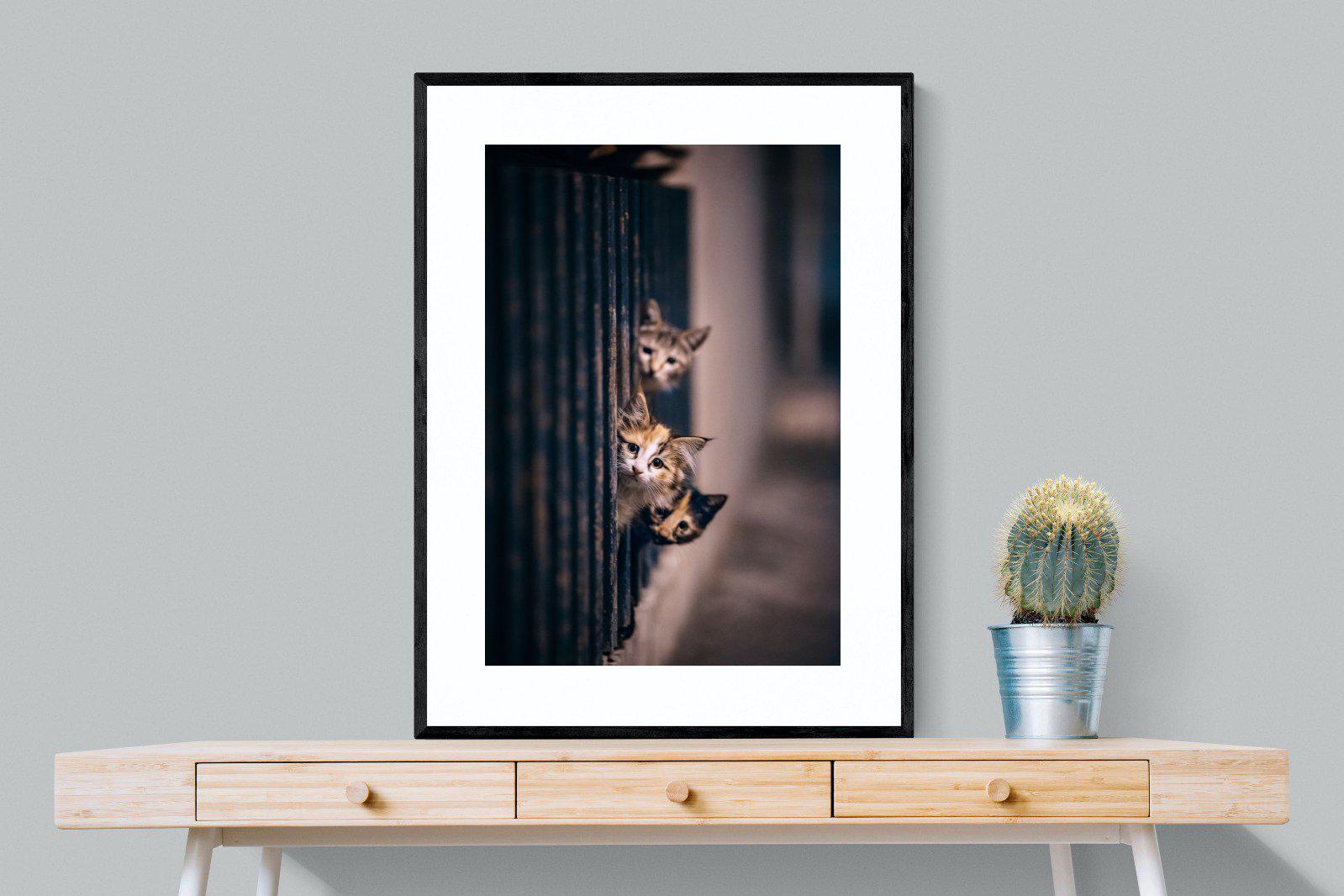 Kitten Call-Wall_Art-75 x 100cm-Framed Print-Black-Pixalot