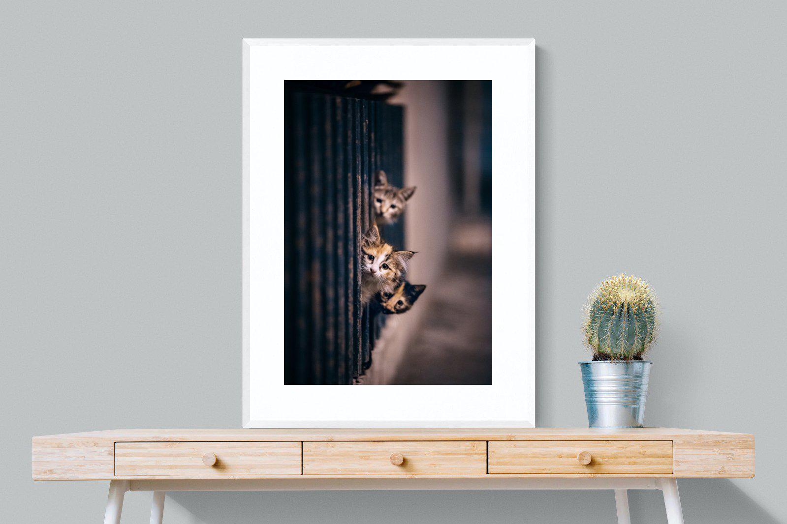 Kitten Call-Wall_Art-75 x 100cm-Framed Print-White-Pixalot