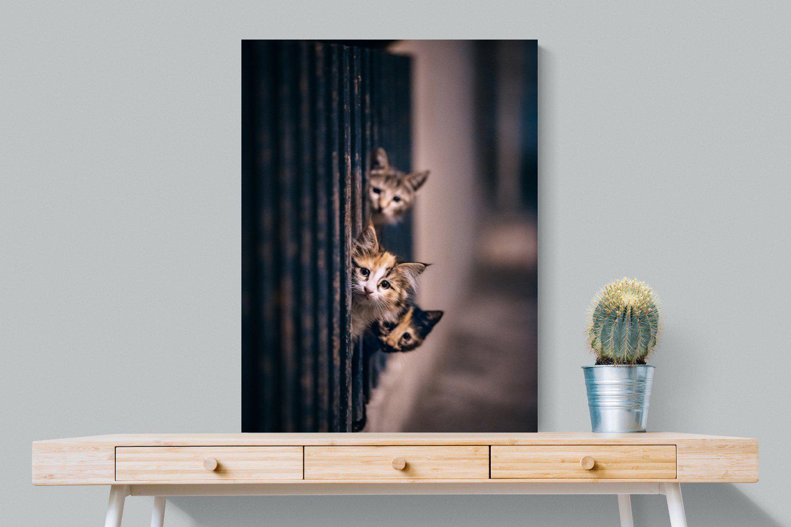 Kitten Call-Wall_Art-75 x 100cm-Mounted Canvas-No Frame-Pixalot