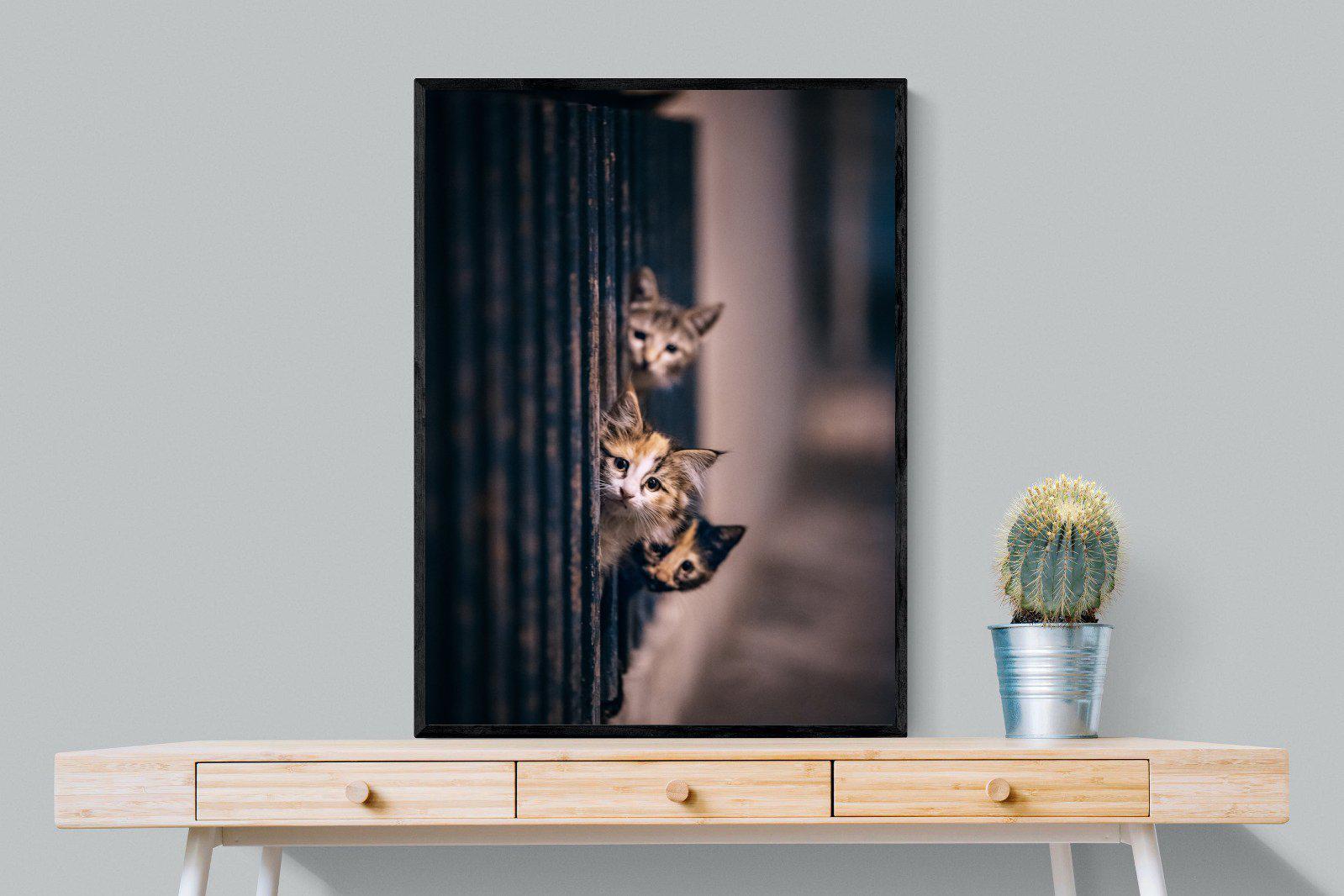 Kitten Call-Wall_Art-75 x 100cm-Mounted Canvas-Black-Pixalot