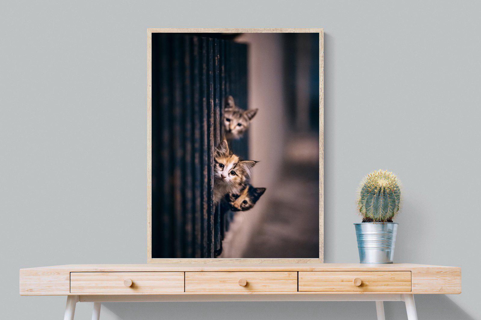 Kitten Call-Wall_Art-75 x 100cm-Mounted Canvas-Wood-Pixalot