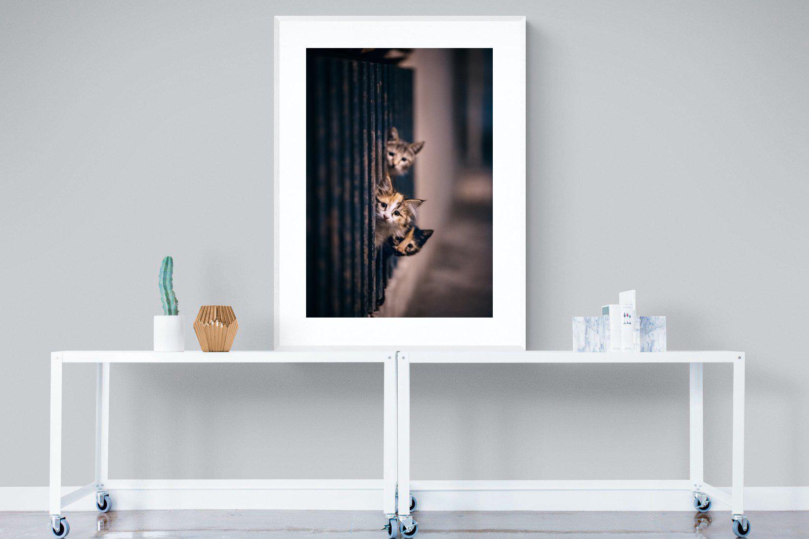 Kitten Call-Wall_Art-90 x 120cm-Framed Print-White-Pixalot