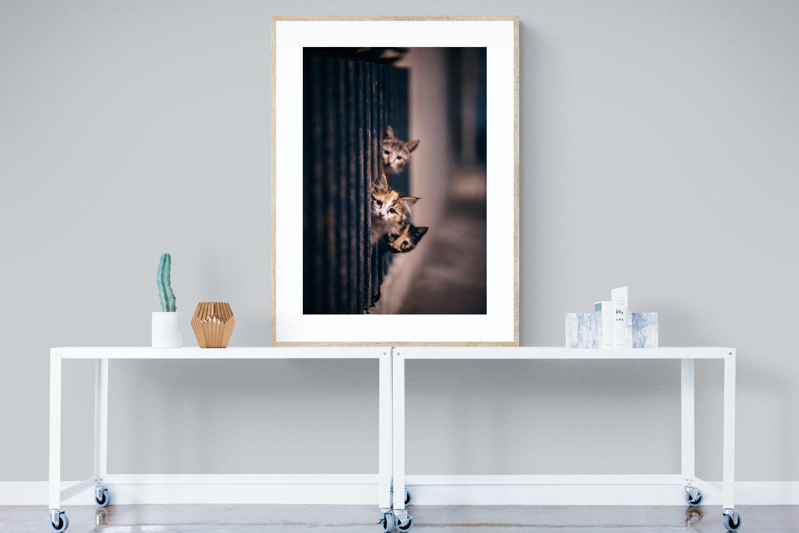 Kitten Call-Wall_Art-90 x 120cm-Framed Print-Wood-Pixalot
