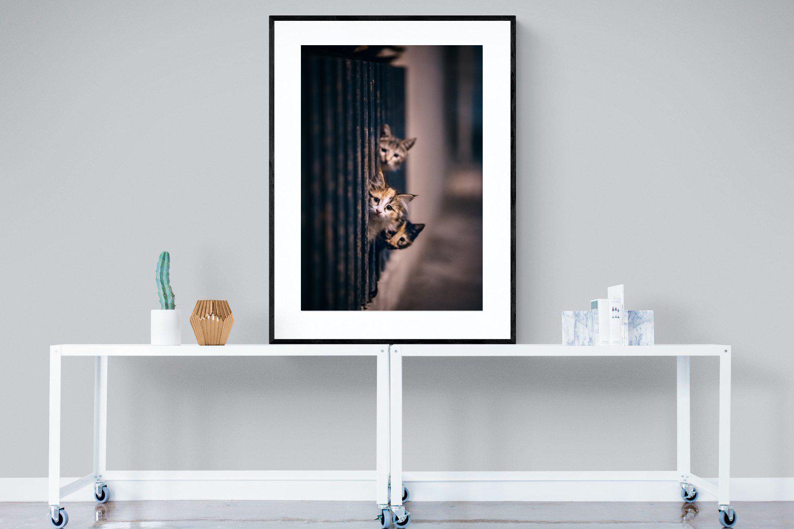Kitten Call-Wall_Art-90 x 120cm-Framed Print-Black-Pixalot