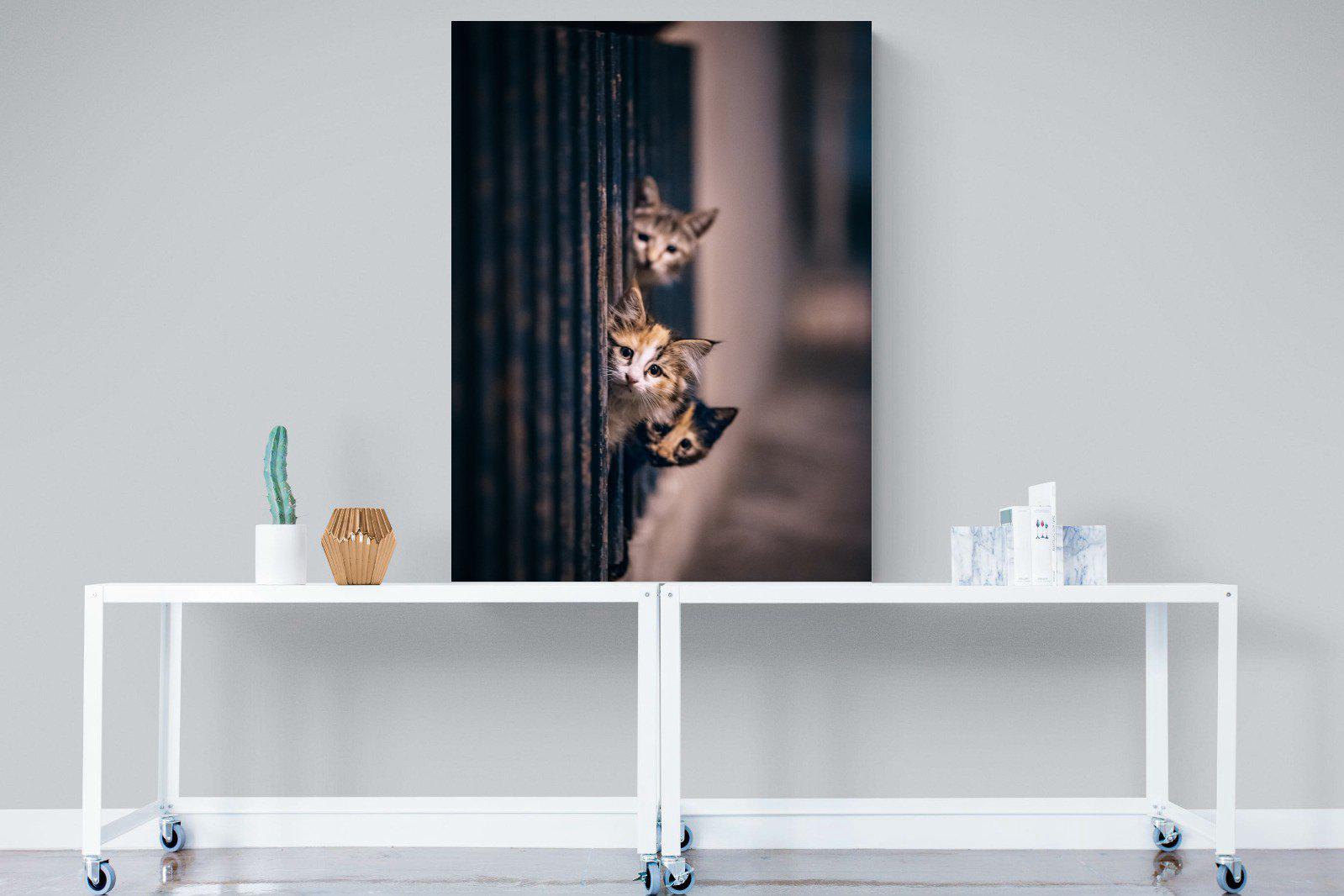 Kitten Call-Wall_Art-90 x 120cm-Mounted Canvas-No Frame-Pixalot