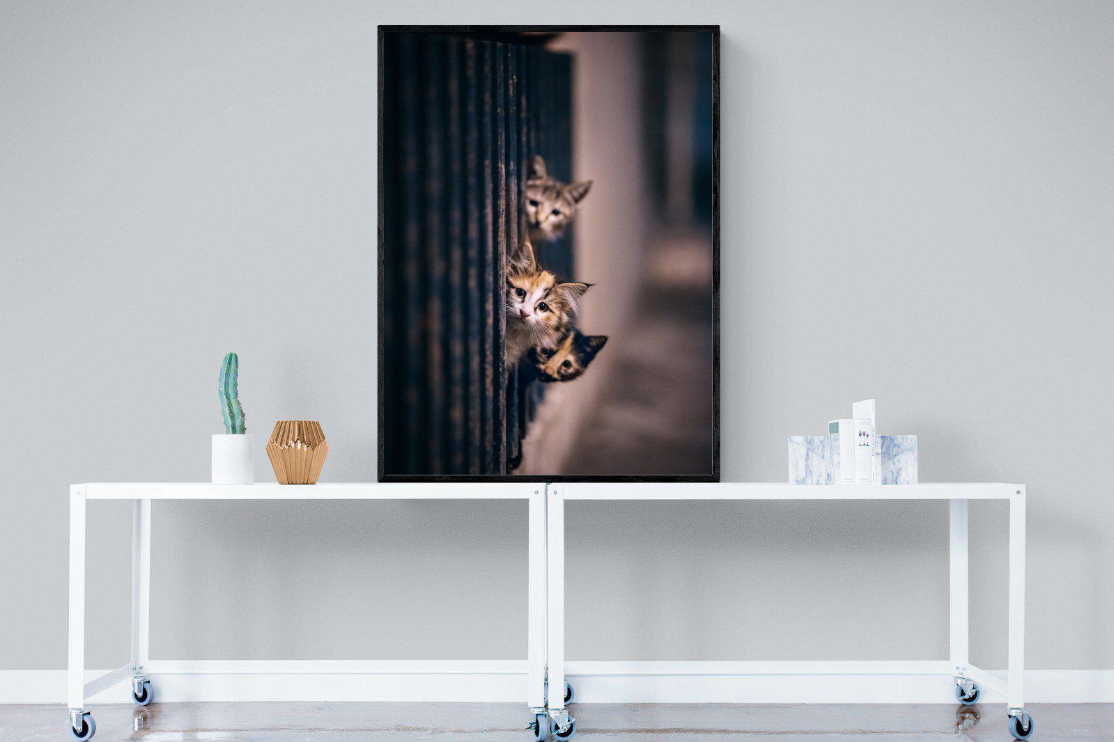 Kitten Call-Wall_Art-90 x 120cm-Mounted Canvas-Black-Pixalot