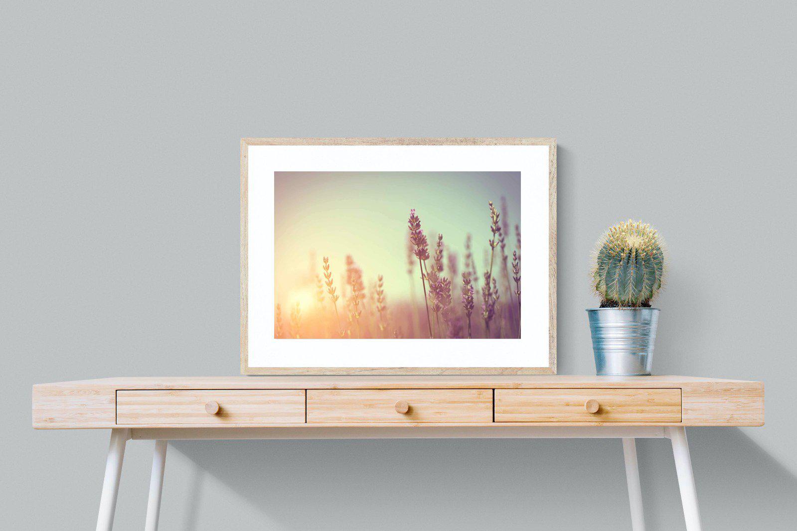 Lavender-Wall_Art-80 x 60cm-Framed Print-Wood-Pixalot